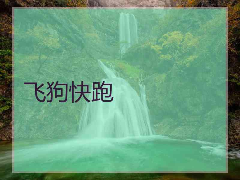 飞狗快跑