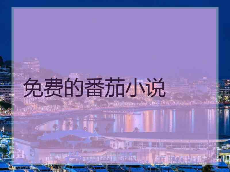 免费的番茄小说