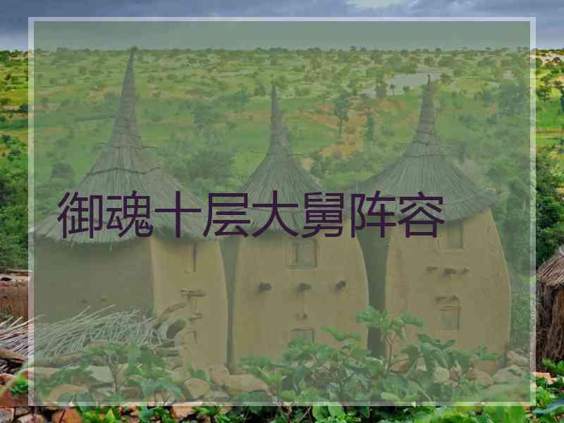 御魂十层大舅阵容