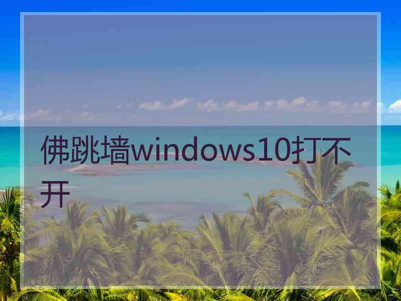 佛跳墙windows10打不开