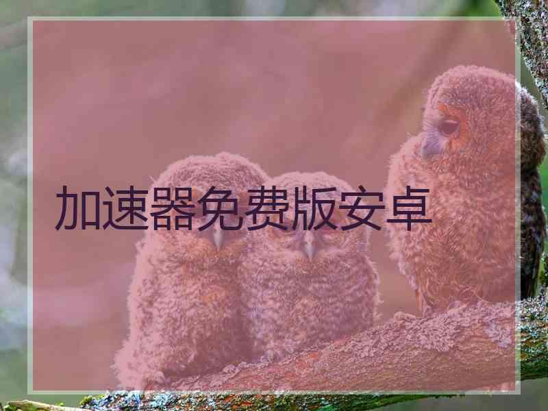 加速器免费版安卓