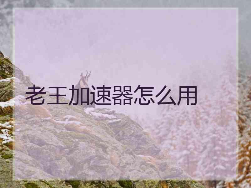 老王加速器怎么用