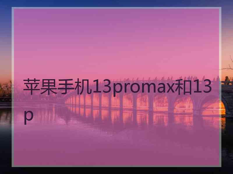 苹果手机13promax和13p