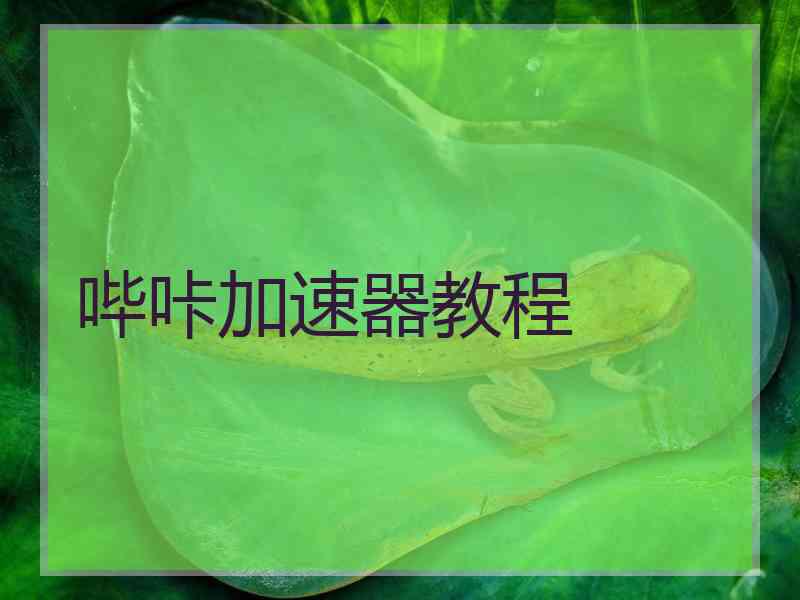 哔咔加速器教程