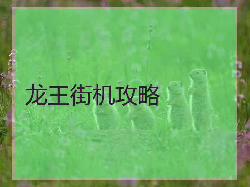 龙王街机攻略