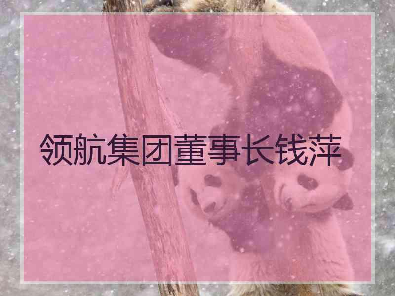 领航集团董事长钱萍