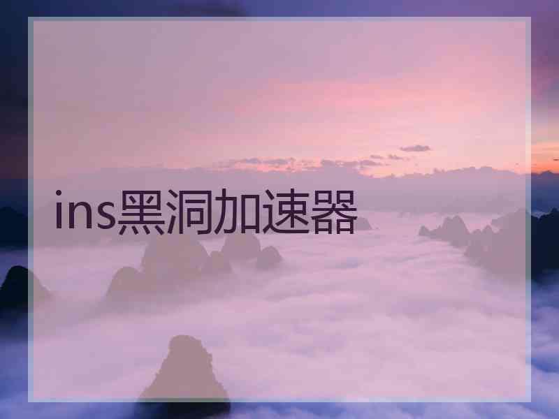 ins黑洞加速器