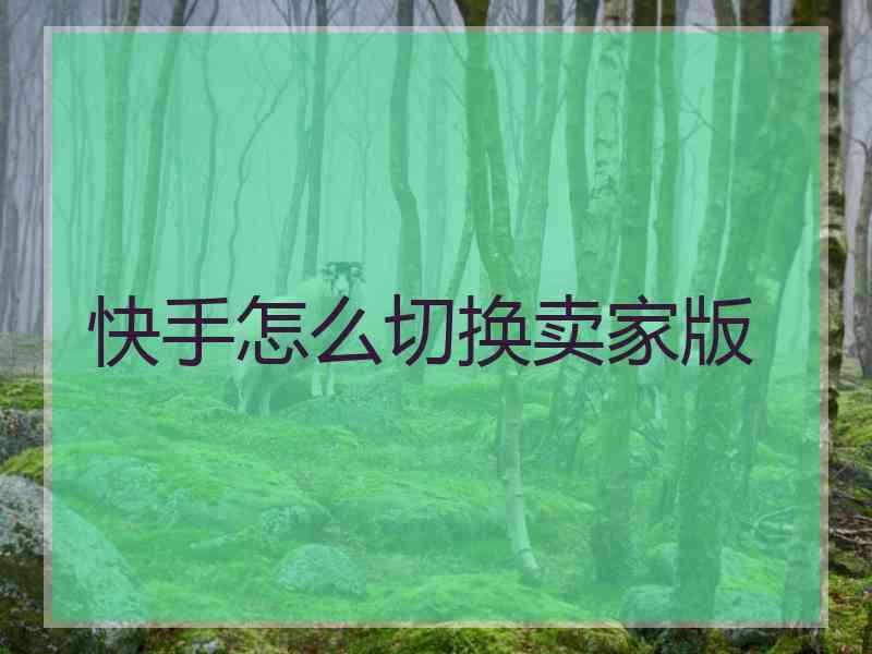 快手怎么切换卖家版