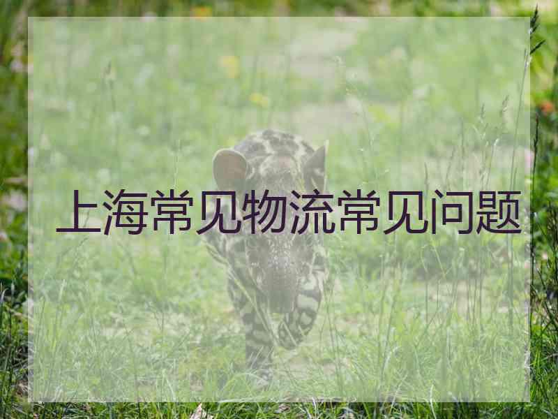 上海常见物流常见问题