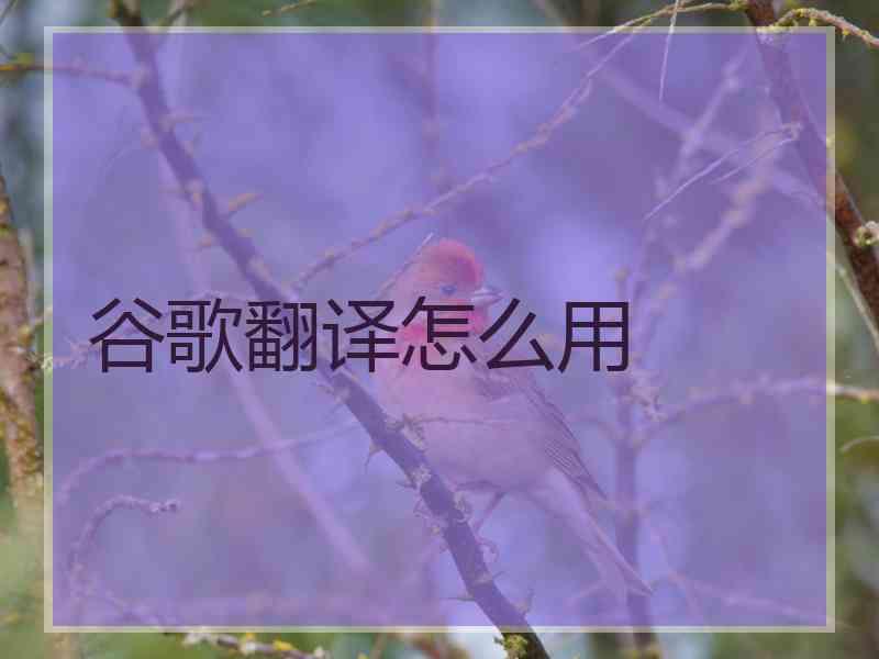 谷歌翻译怎么用