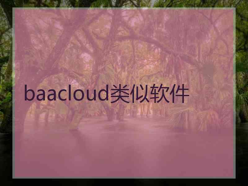 baacloud类似软件