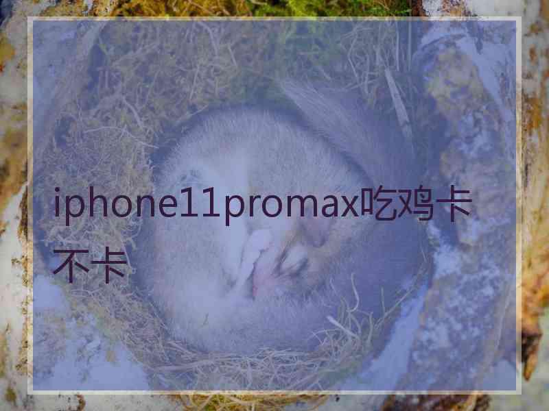 iphone11promax吃鸡卡不卡