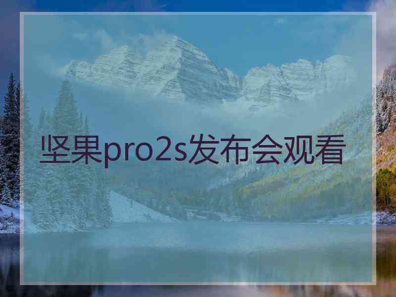 坚果pro2s发布会观看