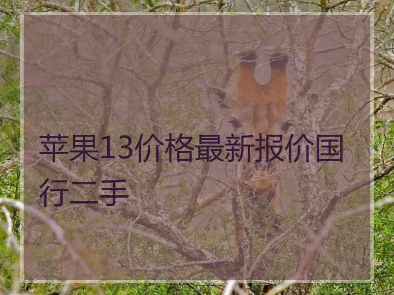 苹果13价格最新报价国行二手