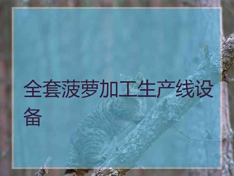 全套菠萝加工生产线设备