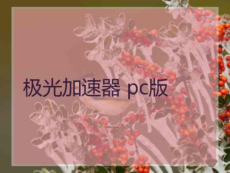 极光加速器 pc版