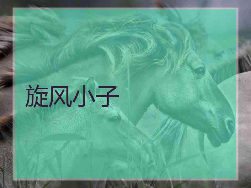 旋风小子