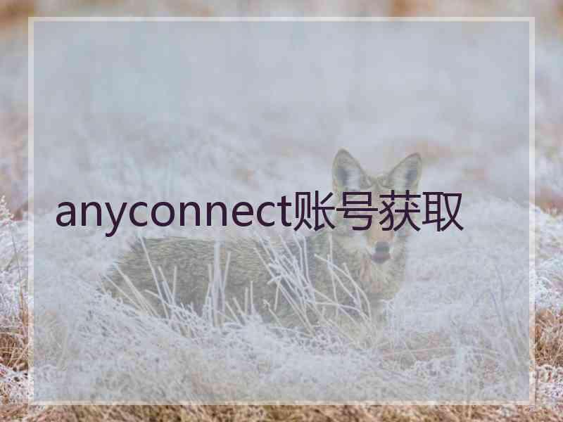 anyconnect账号获取