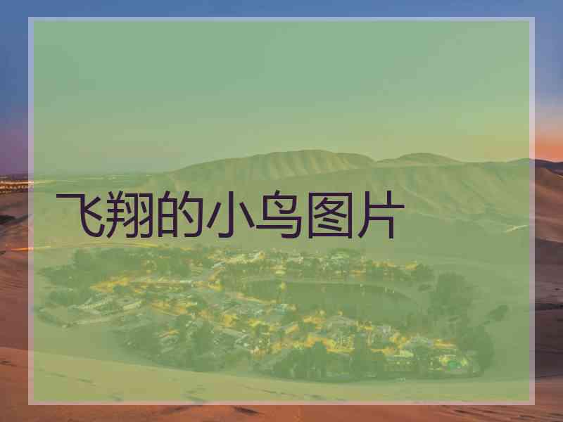 飞翔的小鸟图片