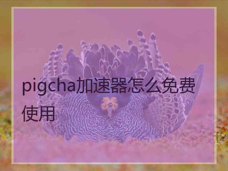 pigcha加速器怎么免费使用