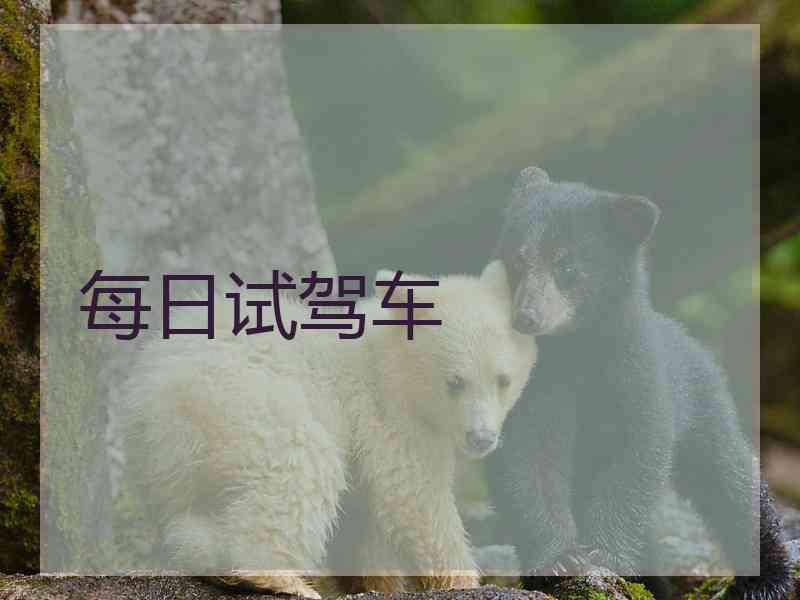 每日试驾车