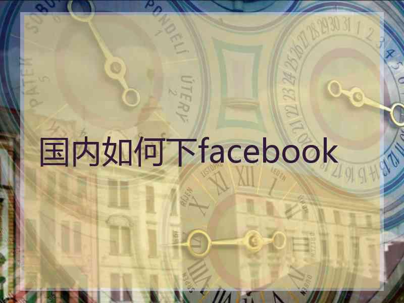 国内如何下facebook