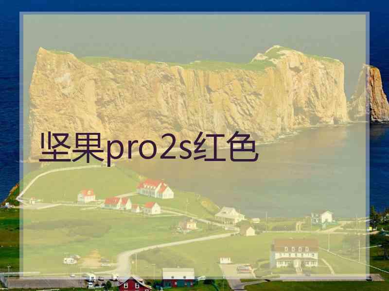 坚果pro2s红色