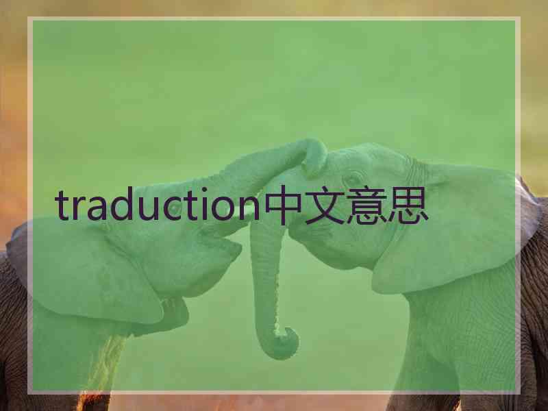 traduction中文意思