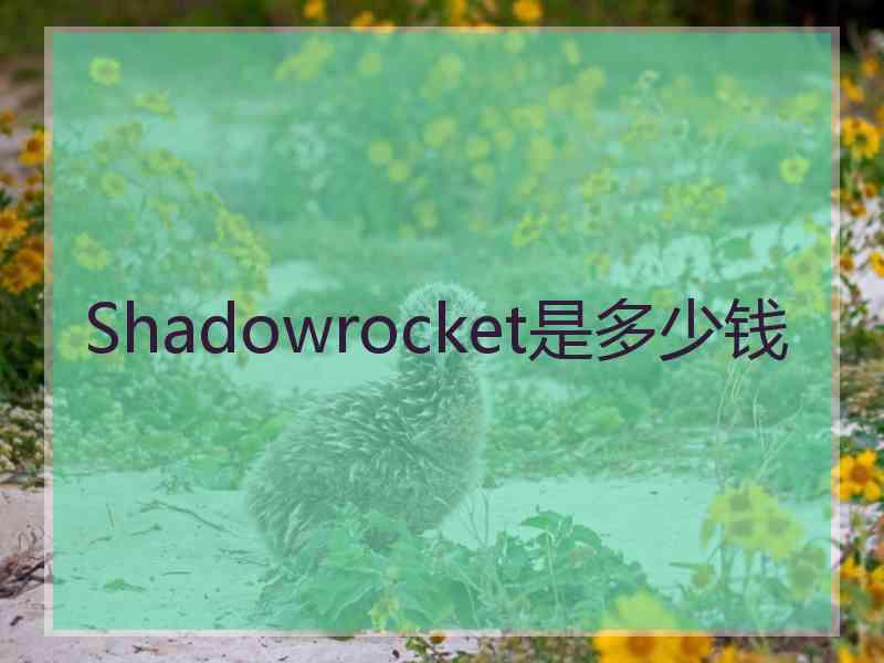 Shadowrocket是多少钱