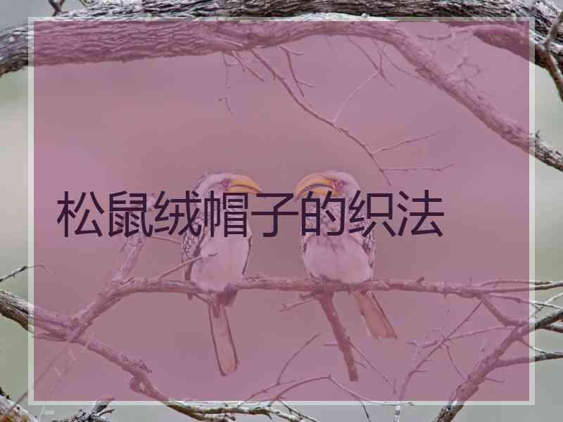 松鼠绒帽子的织法