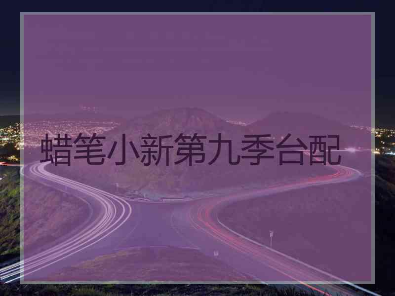 蜡笔小新第九季台配