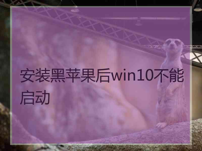 安装黑苹果后win10不能启动