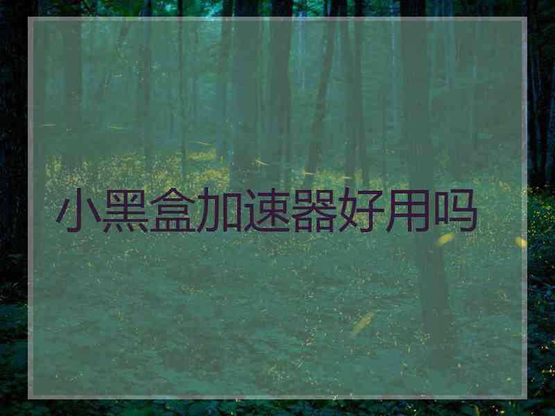 小黑盒加速器好用吗