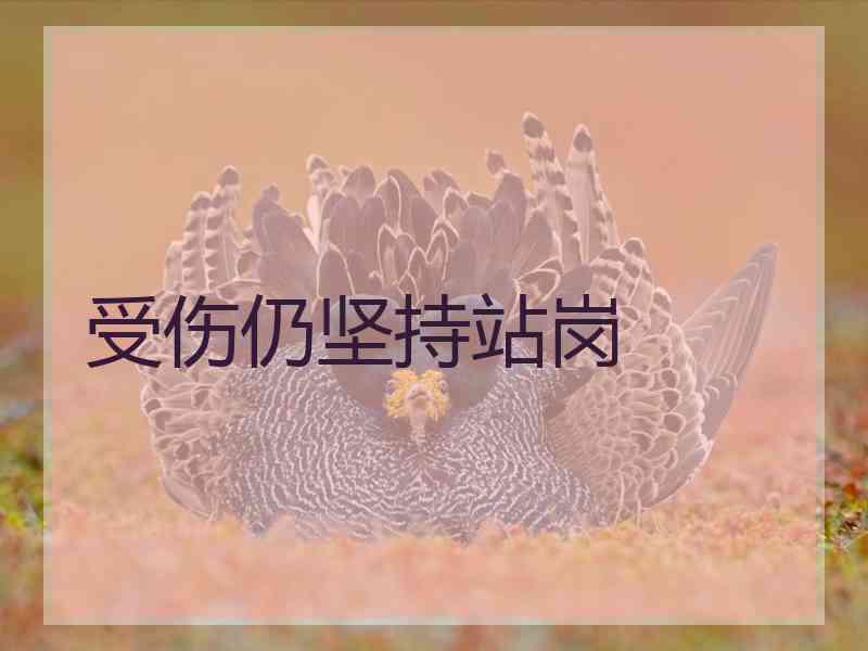 受伤仍坚持站岗