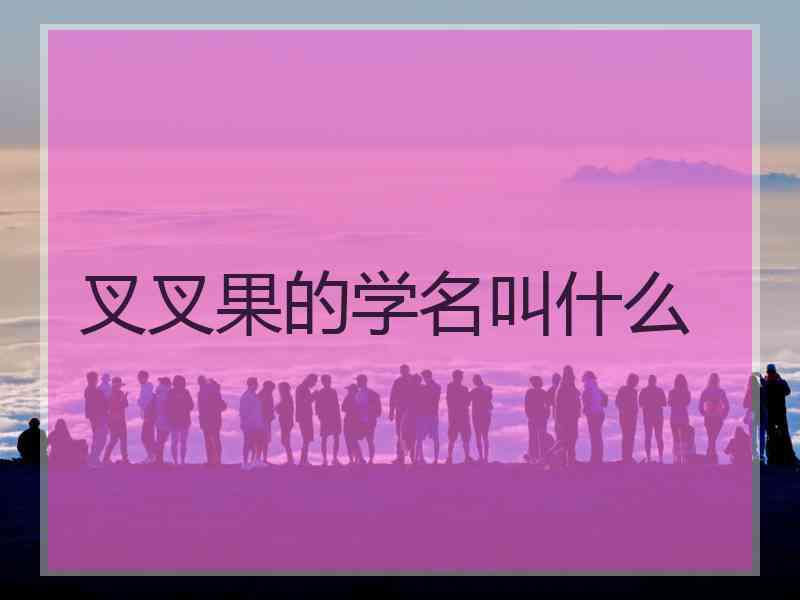 叉叉果的学名叫什么