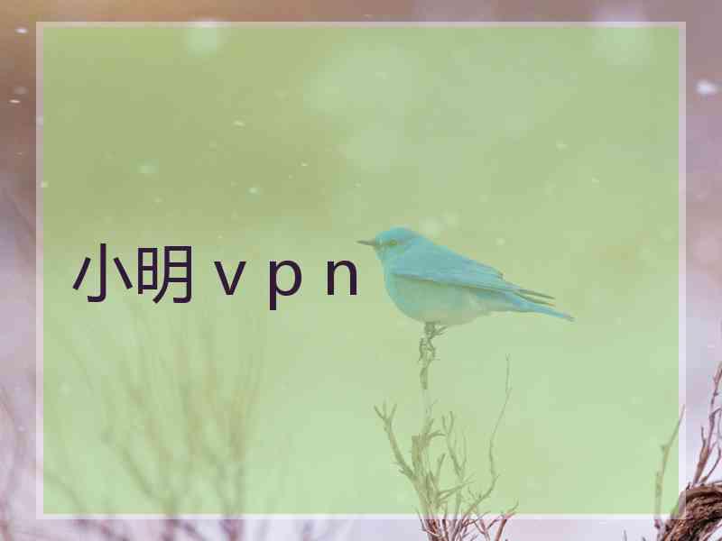 小明 v p n