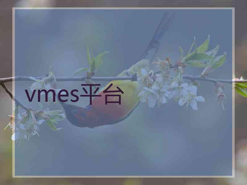 vmes平台