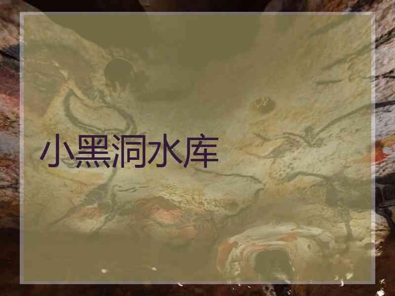 小黑洞水库