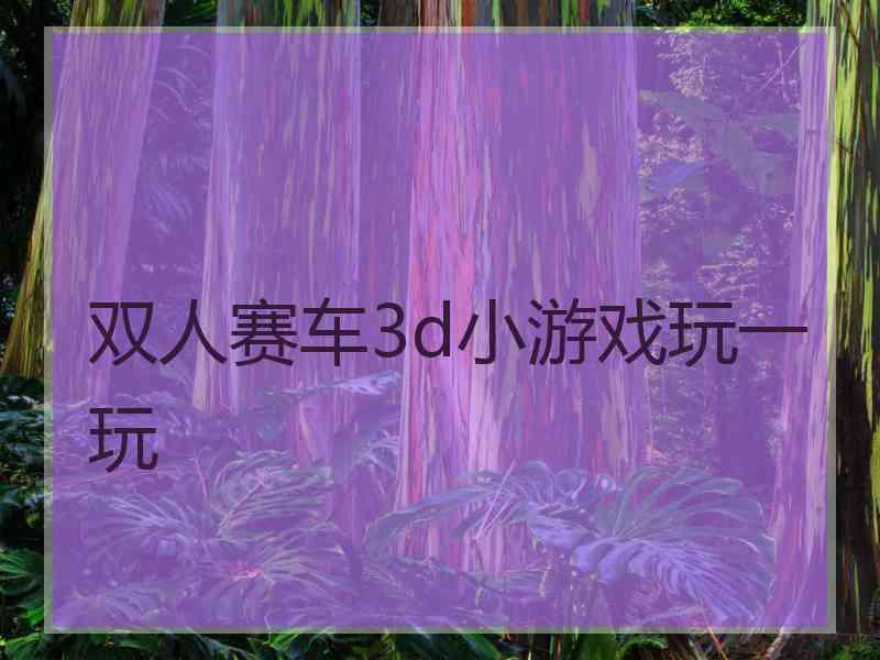 双人赛车3d小游戏玩一玩