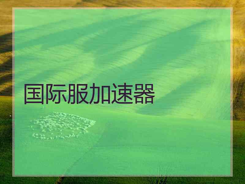 国际服加速器