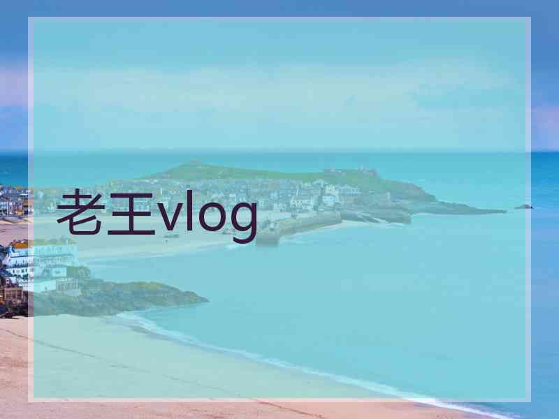 老王vlog