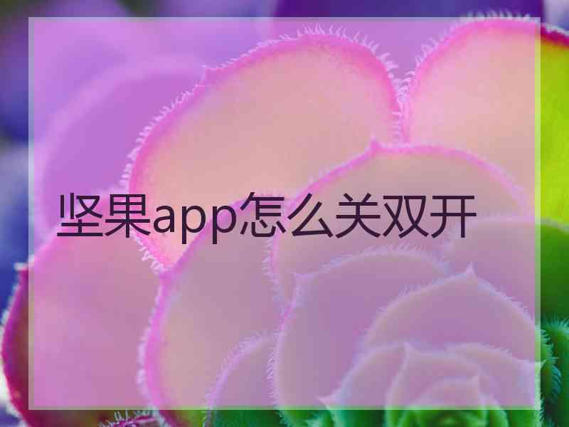 坚果app怎么关双开