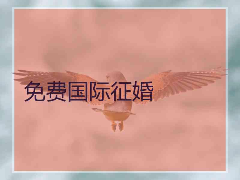 免费国际征婚