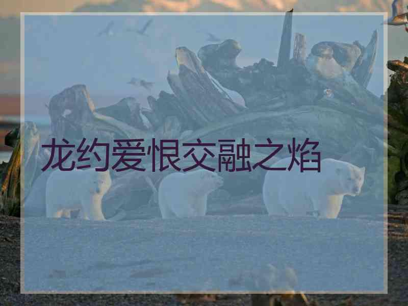 龙约爱恨交融之焰