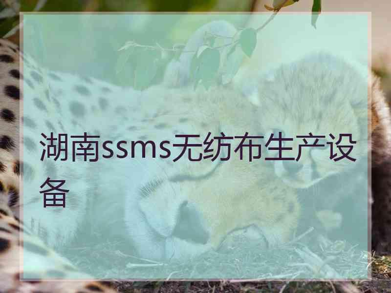 湖南ssms无纺布生产设备