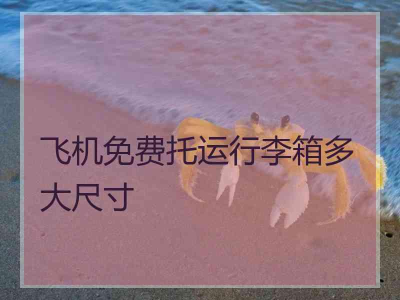 飞机免费托运行李箱多大尺寸