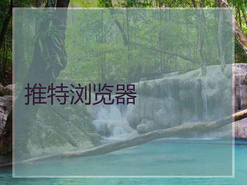 推特浏览器