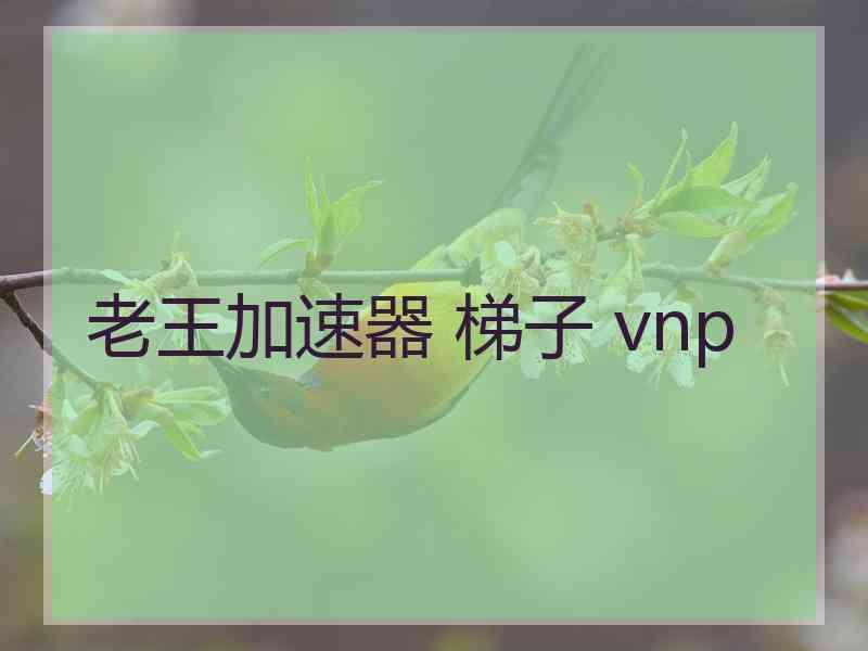 老王加速器 梯子 vnp