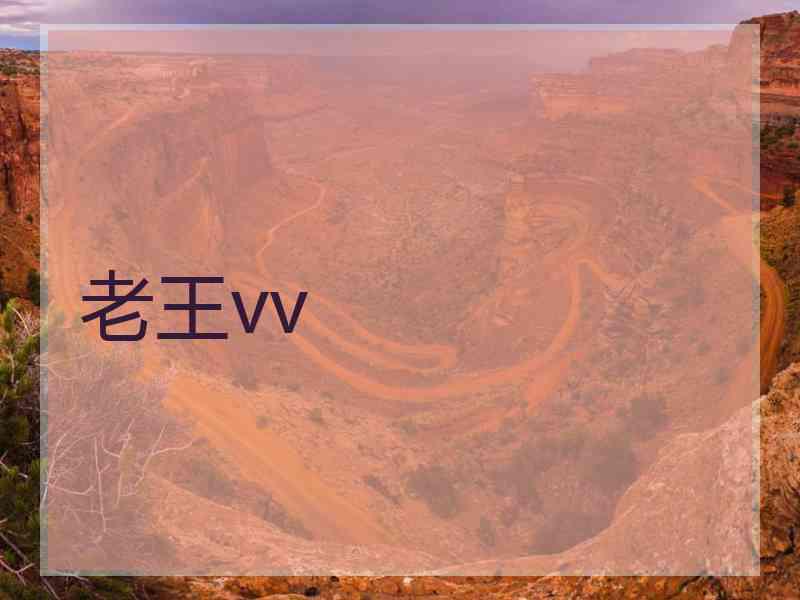 老王vv