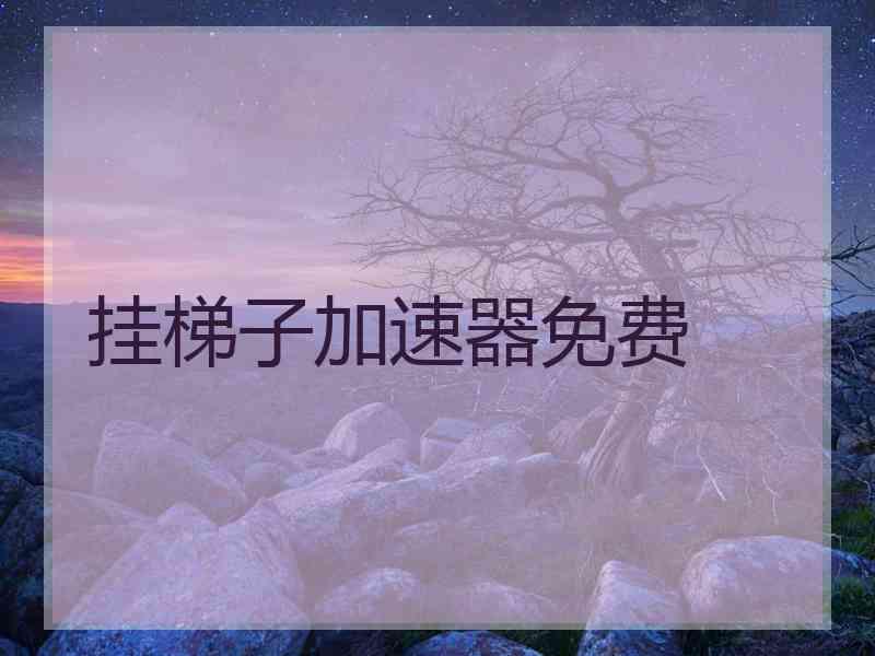 挂梯子加速器免费